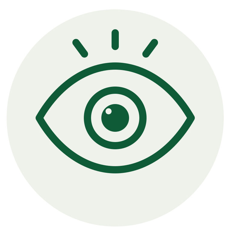 icono ojo