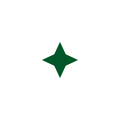 estrella icono